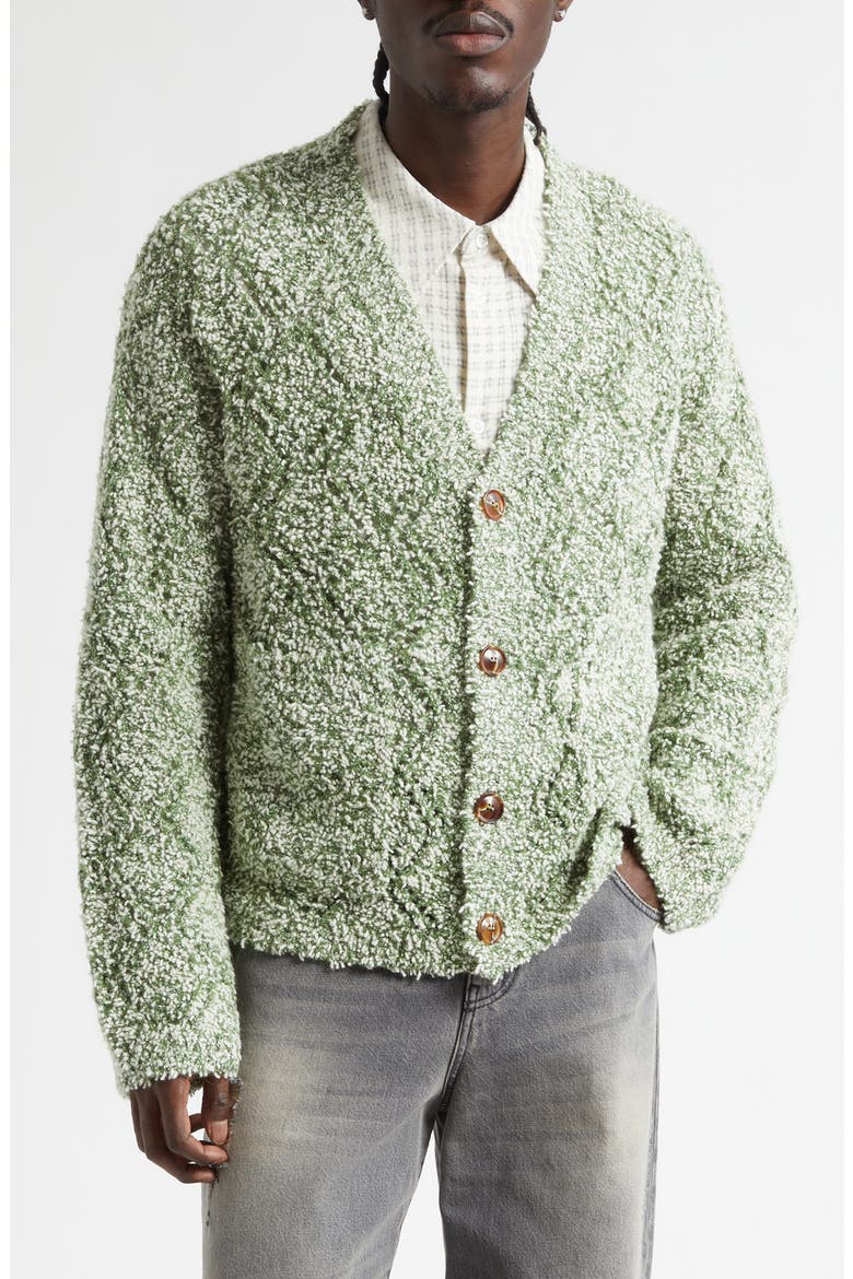 Abain Wool & Mohair Blend Bouclé Cardigan, Alternate, color, ZOYSIA FIELD