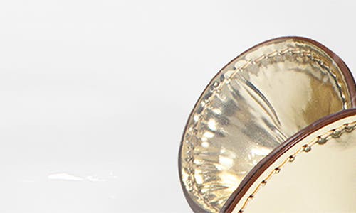 Stoney Clover Lane Clear Crossbody Bag In Gold