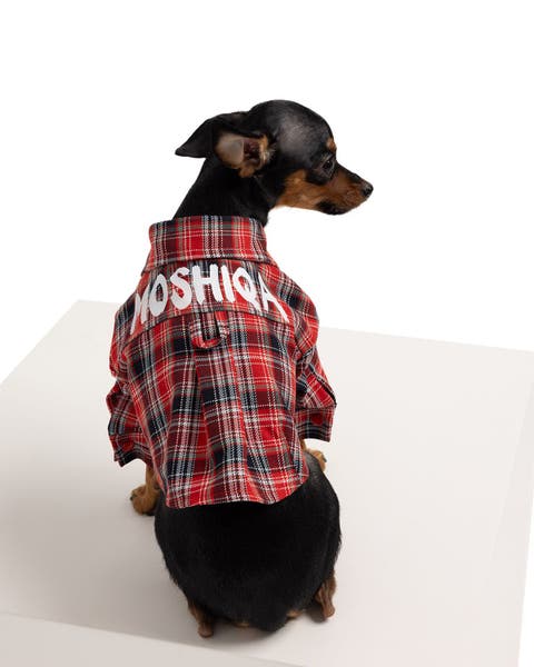 Johnny Dog Shirt