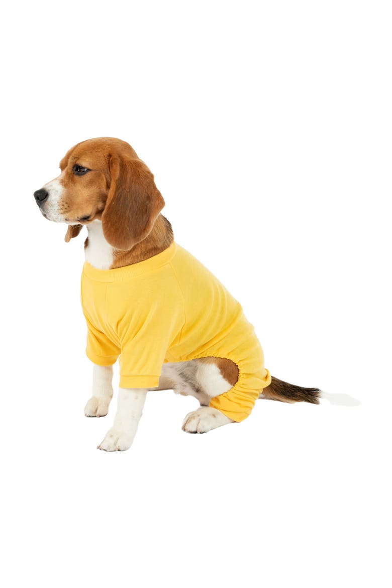 Dog Cotton Solid Matching Family Pajamas, Main, color, Yellow