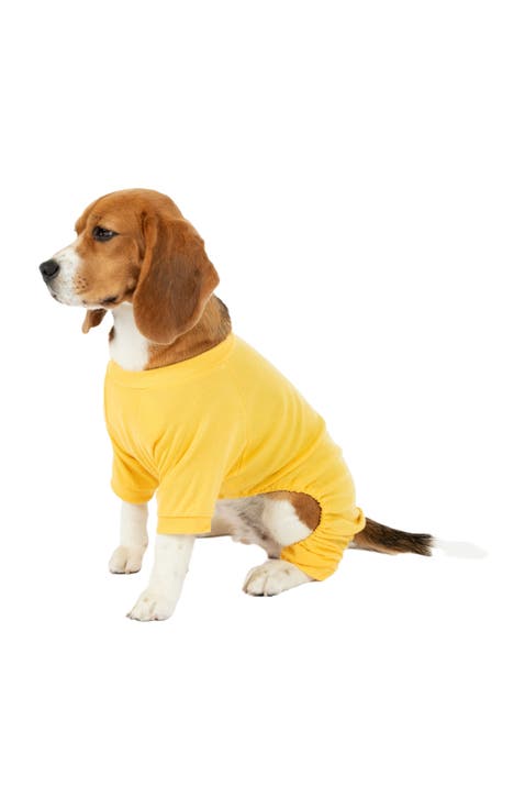 Dog Cotton Solid Matching Family Pajamas