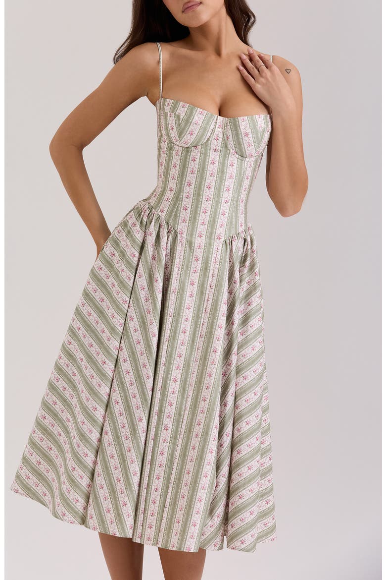 Mya Corset Sleeveless Midi Dress, Alternate, color, ROSE STRIPE FLORAL GREEN