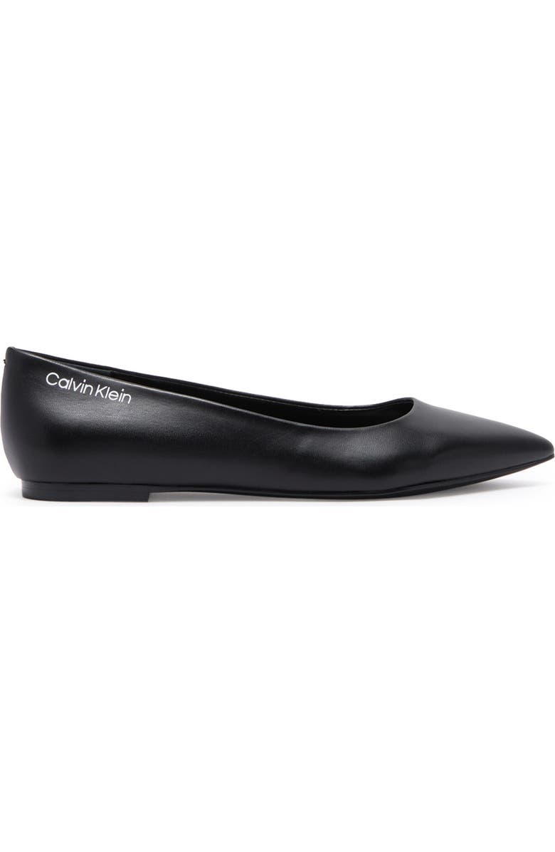 Calvin Klein Aliyah Pointed Toe Flat, Alternate, color,