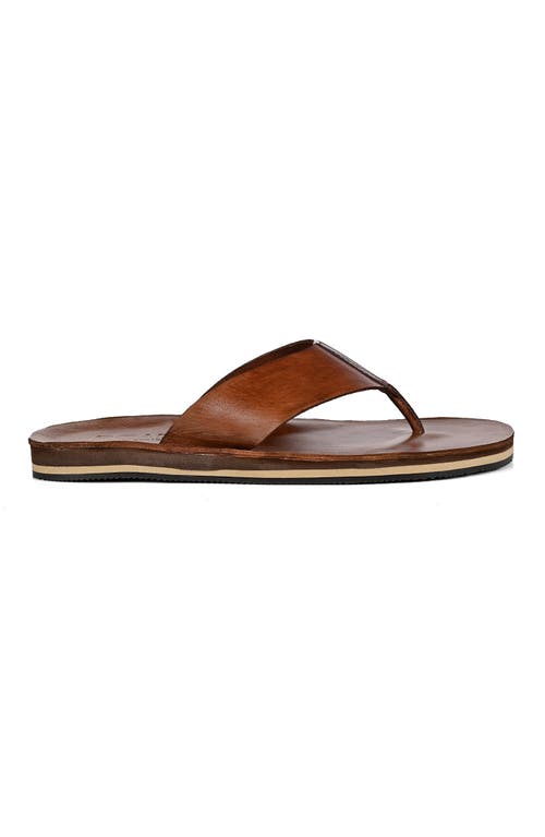 Roan Townfolk Sandal In Brown