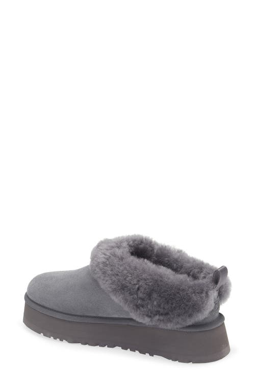 Ugg(r) Tazzelle Genuine Shearling Collar Slipper In Black