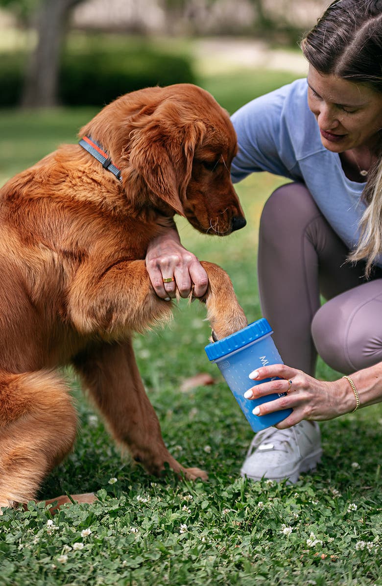 DEXAS Medium Pet Mudbuster, Alternate, color, Blue