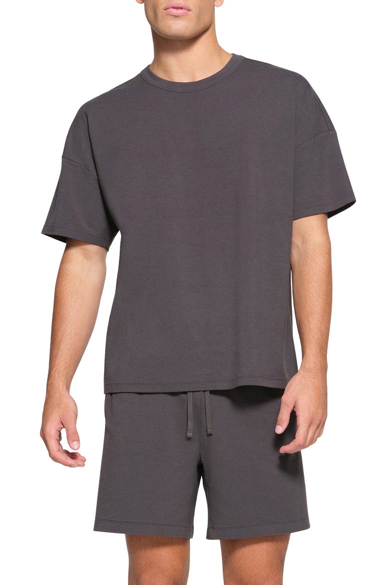Oversize T-Shirt, Main, color, ASH