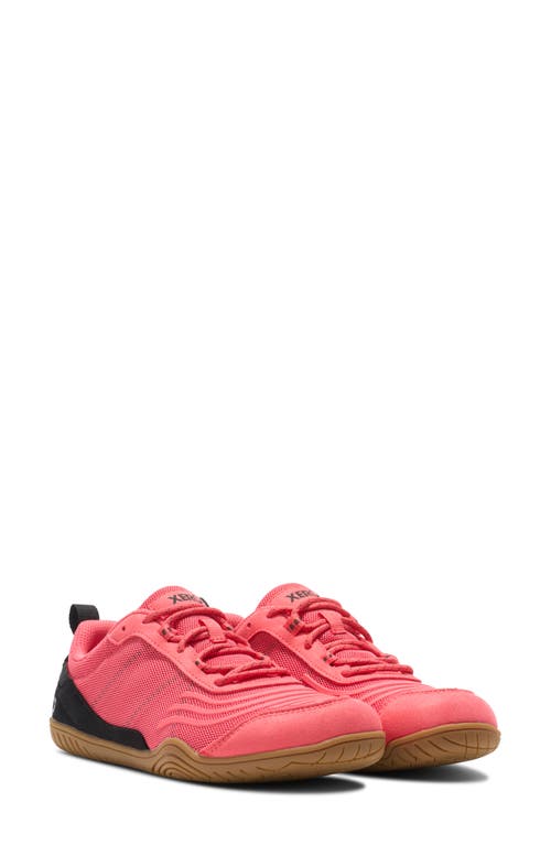 Xero Shoes 360° Cross Training Shoe