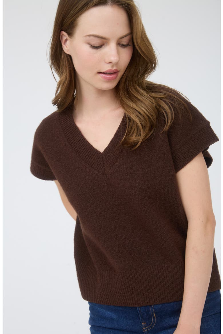 V-Neck Sweater Vest, Alternate, color, BROWN
