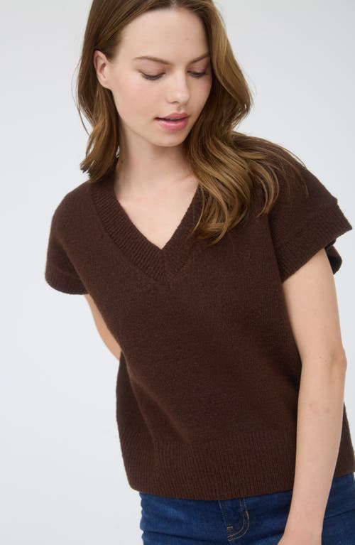 Blu Pepper V-neck Sweater Vest In Brown