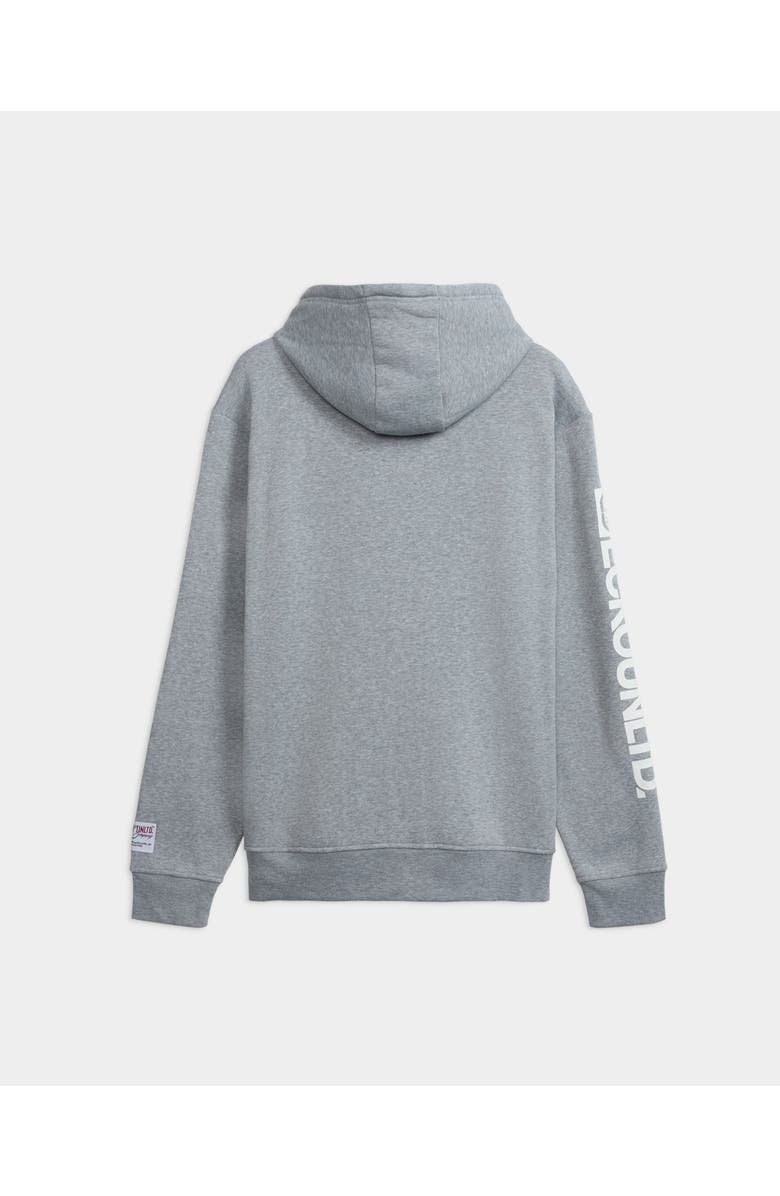 ECKO Iconic Logo Hoodie, Alternate, color, Grey Heather
