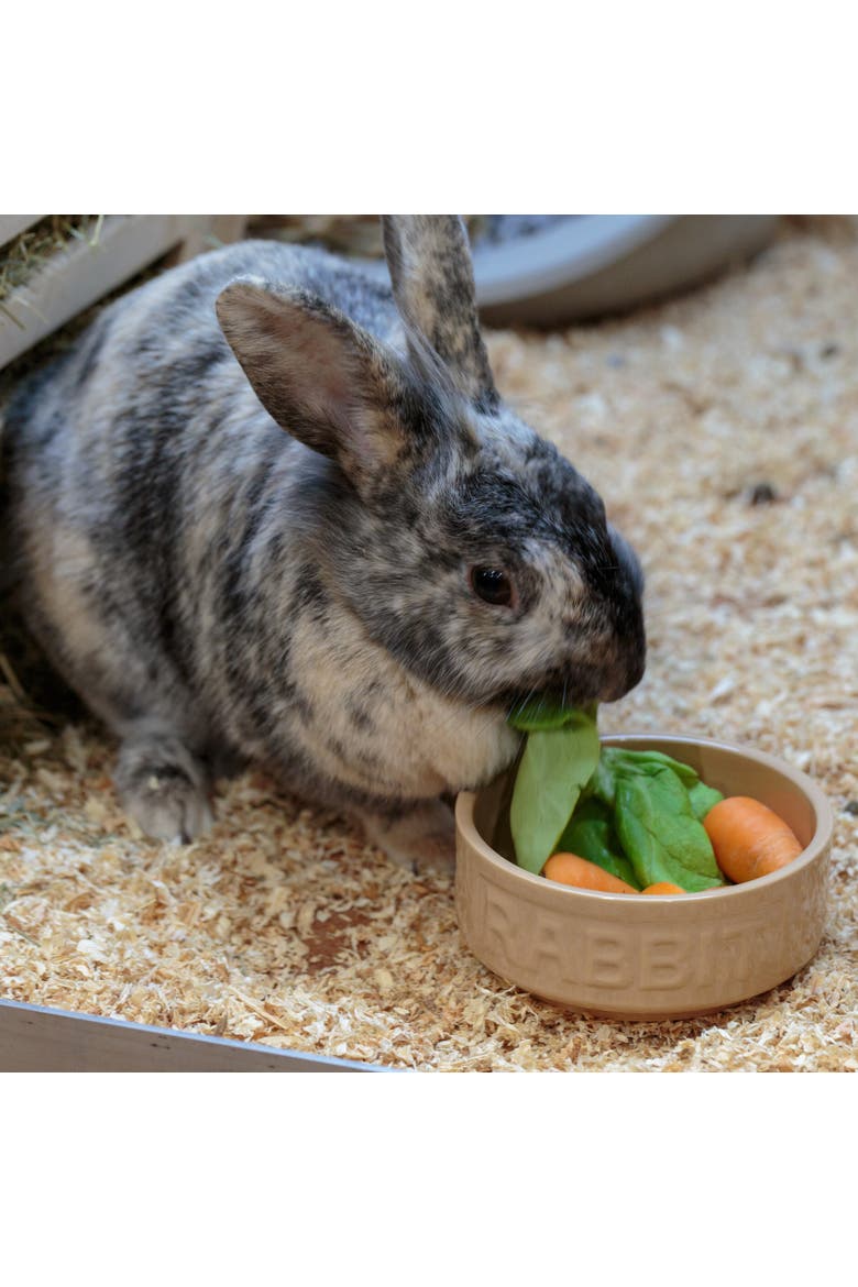 Cane Rabbit Bowl, 5.2 Inches, 13.5oz, Feeding Dish, Alternate, color, Brown