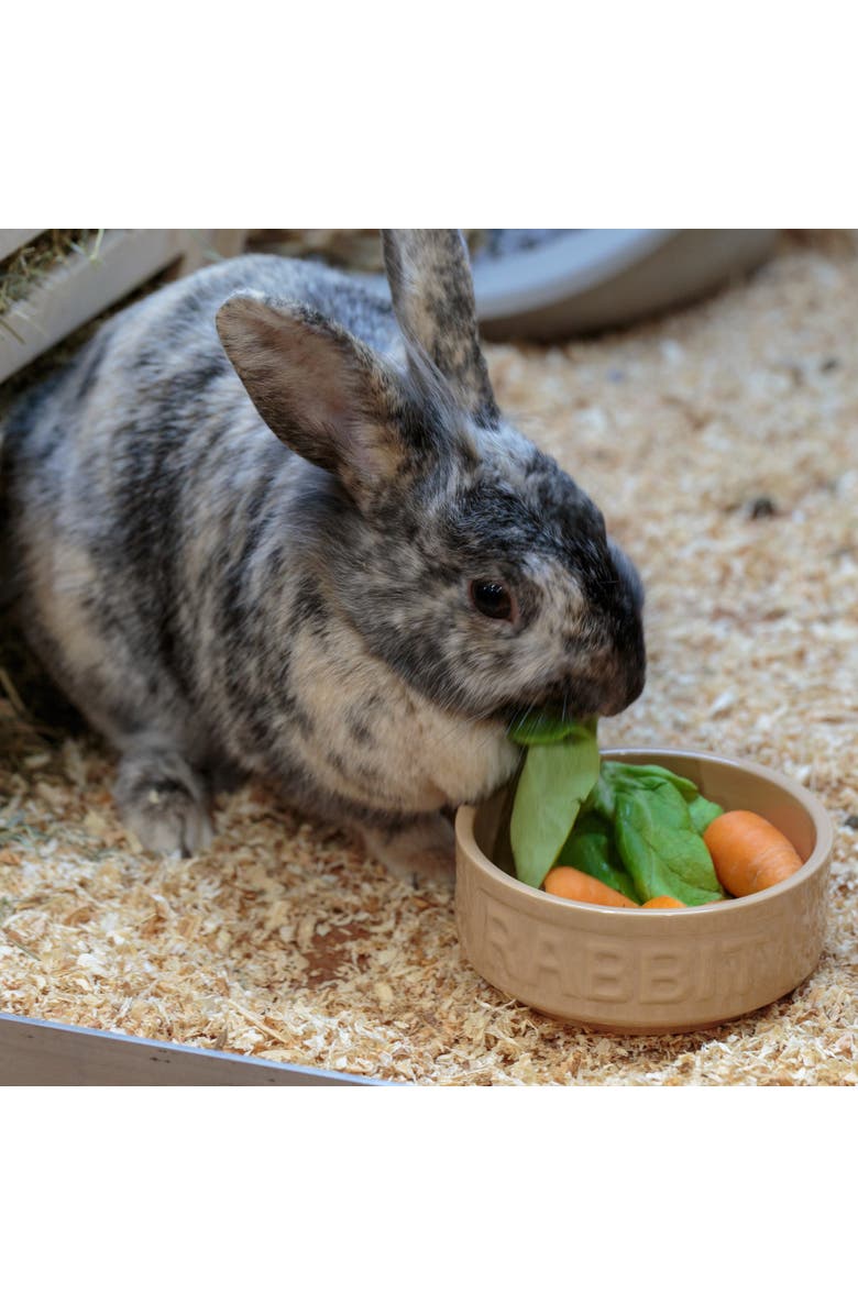 MASON CASH Cane Rabbit Bowl, 5.2 Inches, 13.5oz, Feeding Dish, Alternate, color,