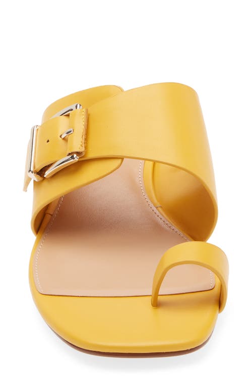 Vince Camuto Lenqua Toe Loop Block Heel Sandal In Yellow