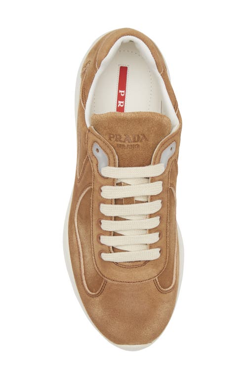 Prada Round Toe Low Top Sneakers In Cannela