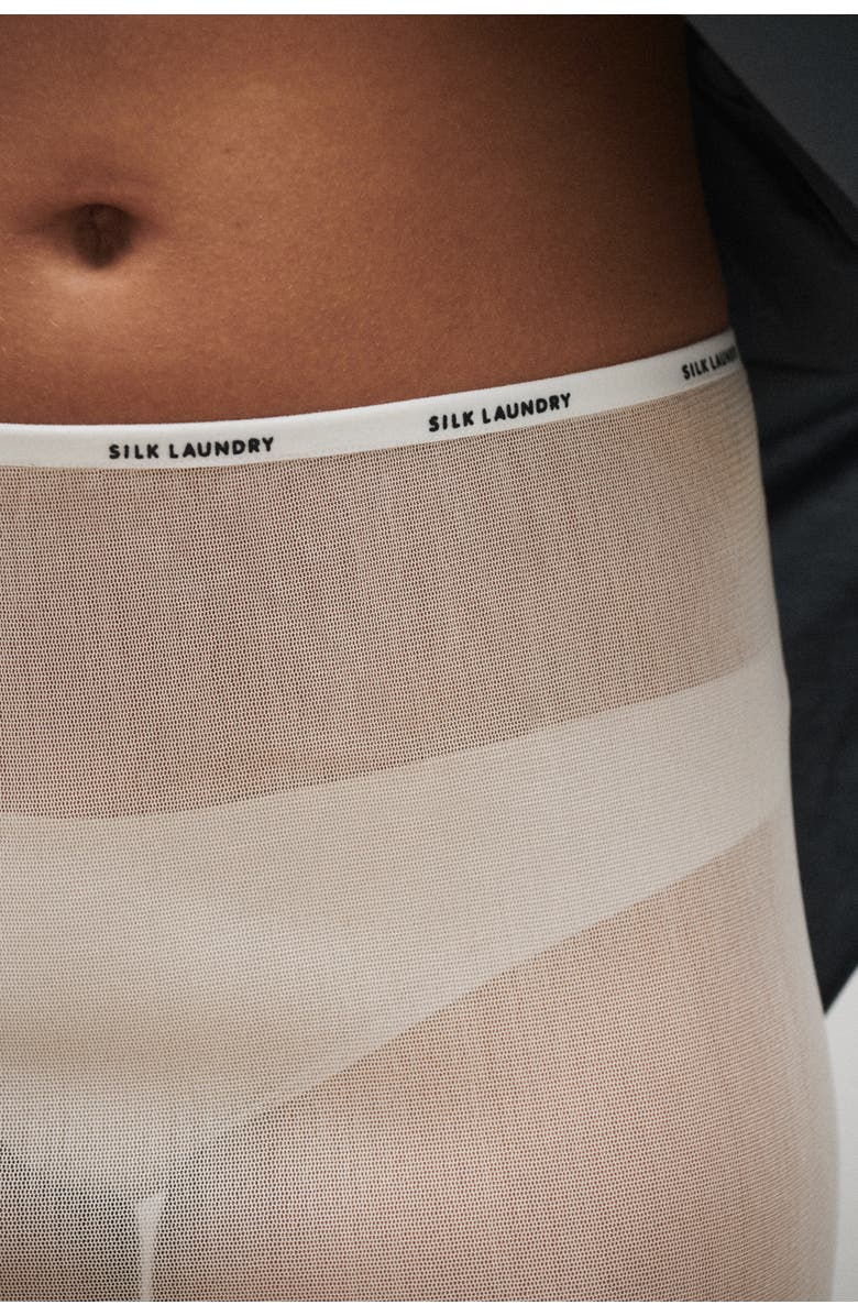 SILK LAUNDRY Mesh Skirt, Alternate, color,