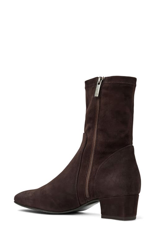 Aquatalia Stassi Water Repellent Bootie In Brown