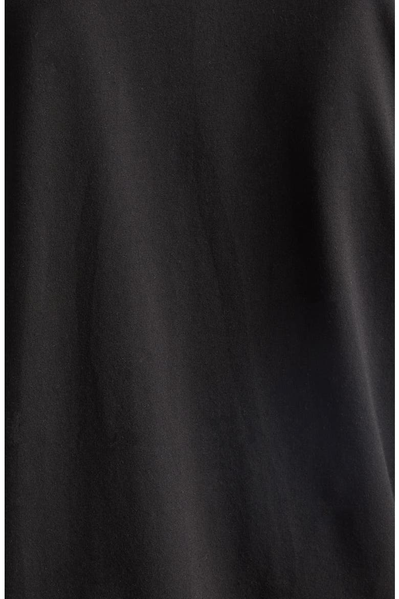The Chameleon T-Shirt, Alternate, color, PIGMENT BLACK