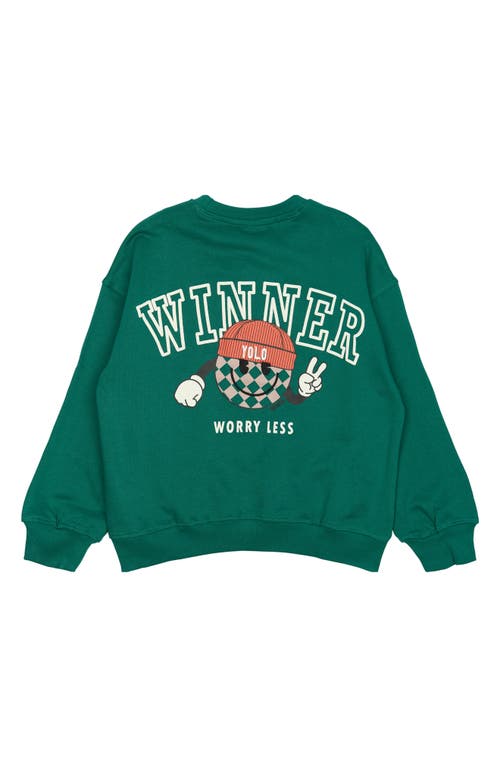 The New Kids' Paul Oversize Organic Cotton Sweatshirt In Green
