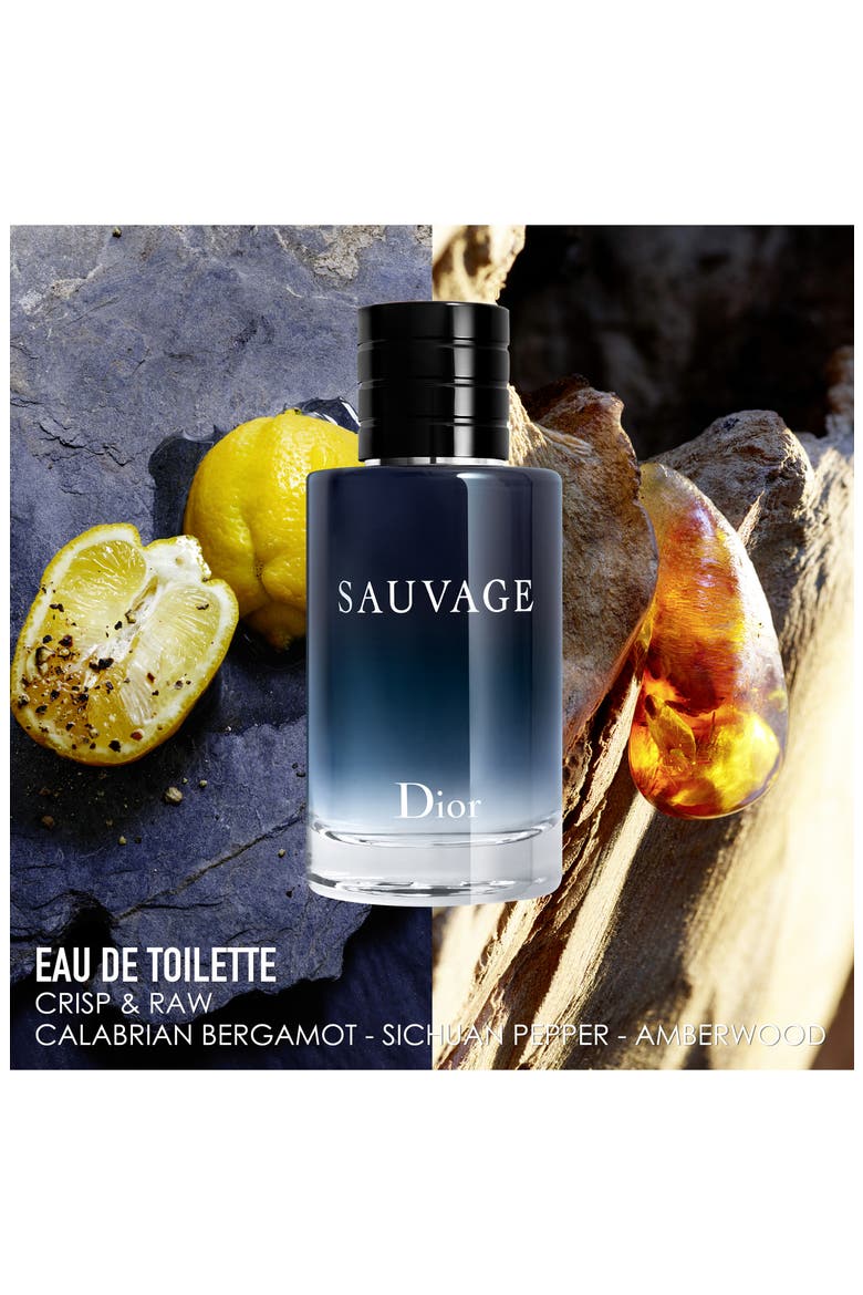 Sauvage Eau de Toilette Set, Alternate, color, NO COLOR