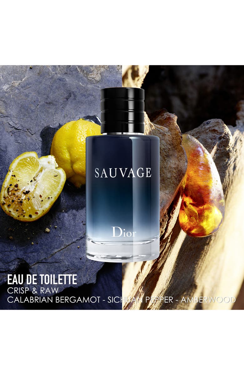 DIOR Sauvage Eau de Toilette Set, Alternate, color,