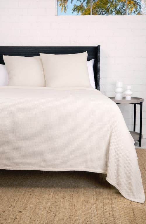 Pom Pom At Home Balboa Blanket In Ivory