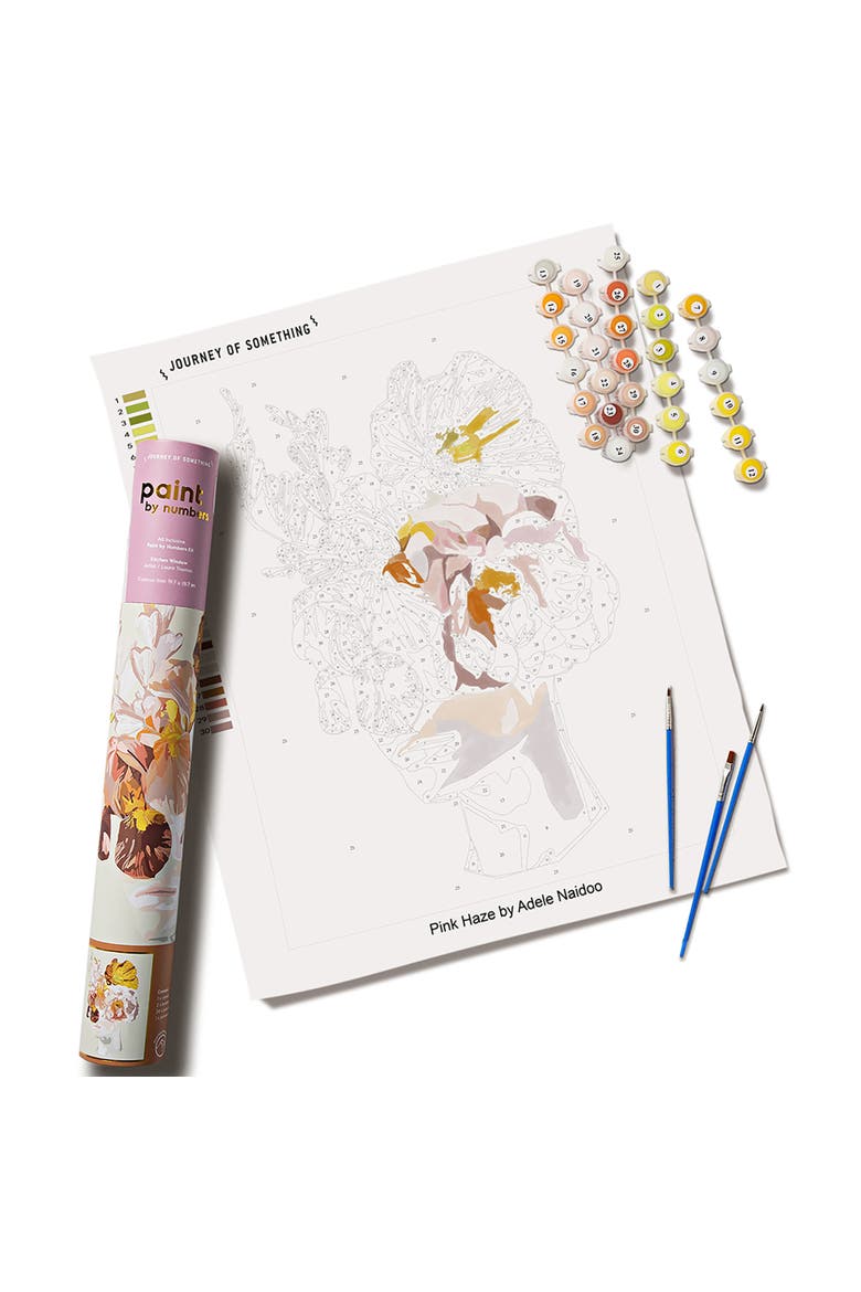 Paint By Numbers, Pink Haze, DIY Adult Painting Craft Kit, Main, color, Multicolored