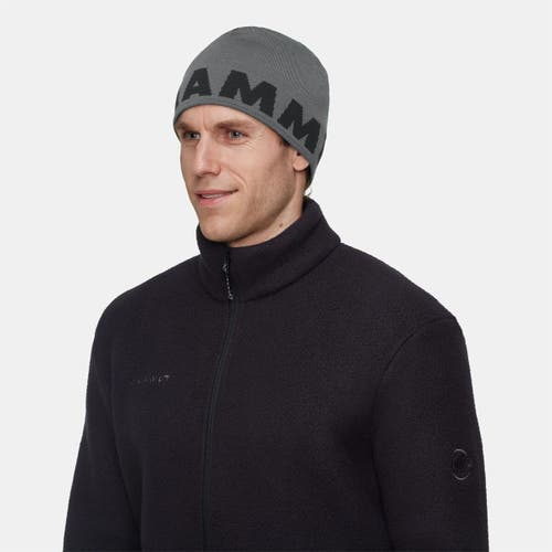 Mammut Logo Beanie In Gray