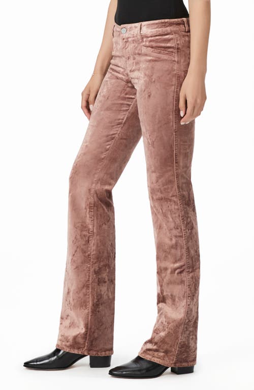 Paige Sloane Low Rise Bootcut Velvet Pants In Pink
