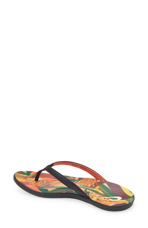 Olukai Ho'opio Hau Flip Flop In Multi