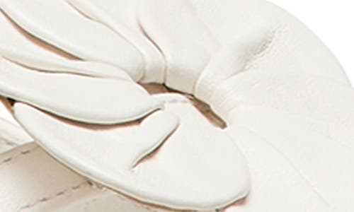 Stuart Weitzman X Sandy Liang T-strap Slingback Sandal In Cream