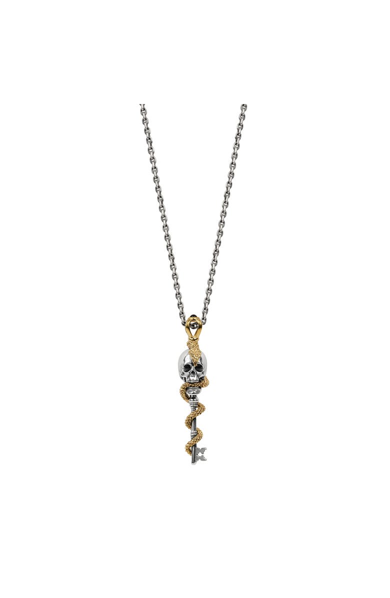 Karma and Luck Powerful Guidance - Snake Skull Onyx Necklace, Main, color, Silver/Gold