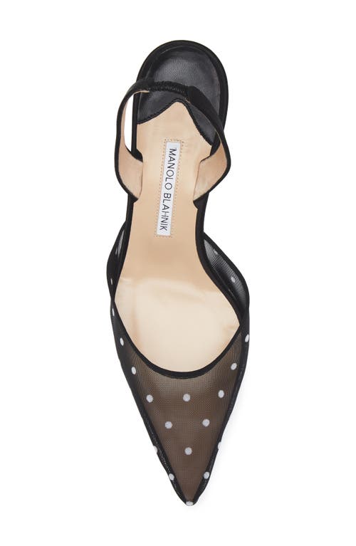 Manolo Blahnik Carolyne Polka Dot Pointed Toe Slingback Pump