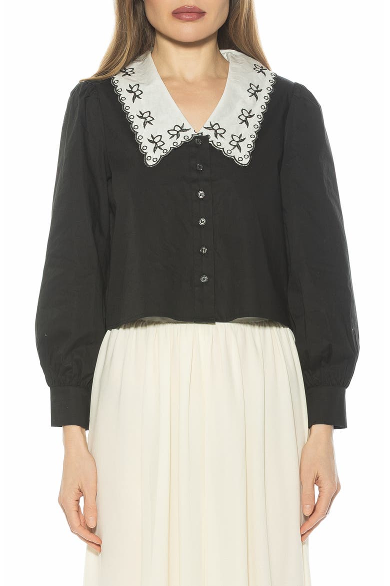 Issey Embroidered Collar Button-Up Shirt, Main, color, BLACK