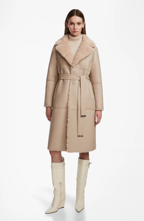 Rudsak Annabelle Reversible Teddy & Faux Leather Coat In Brown