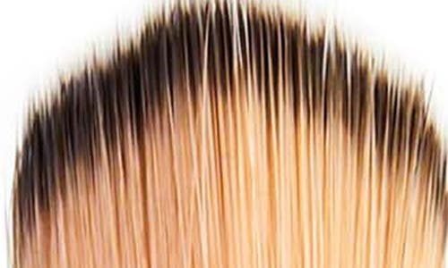 Trish Mcevoy Brush 300