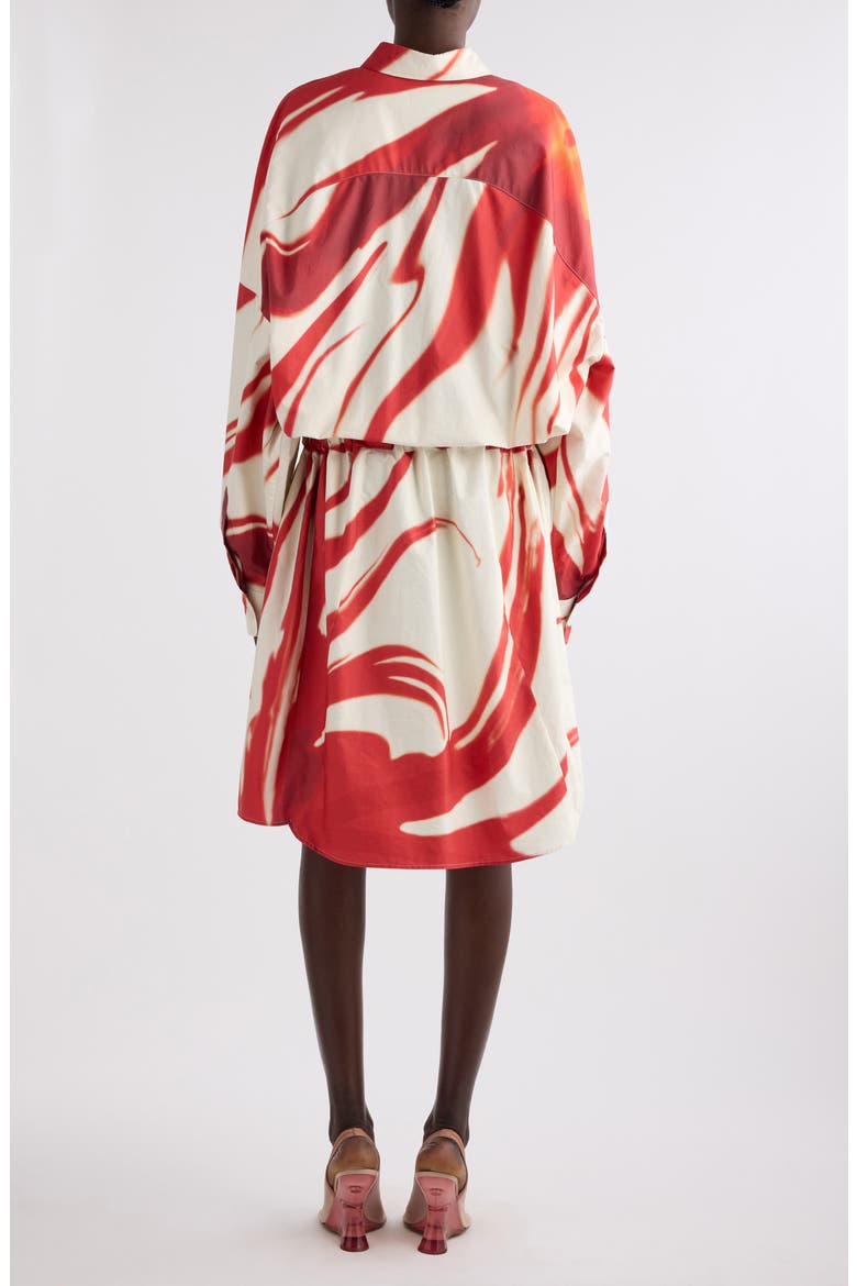 Dindi Print Belted Long Sleeve Cotton Poplin Shirtdress, Alternate, color, RED