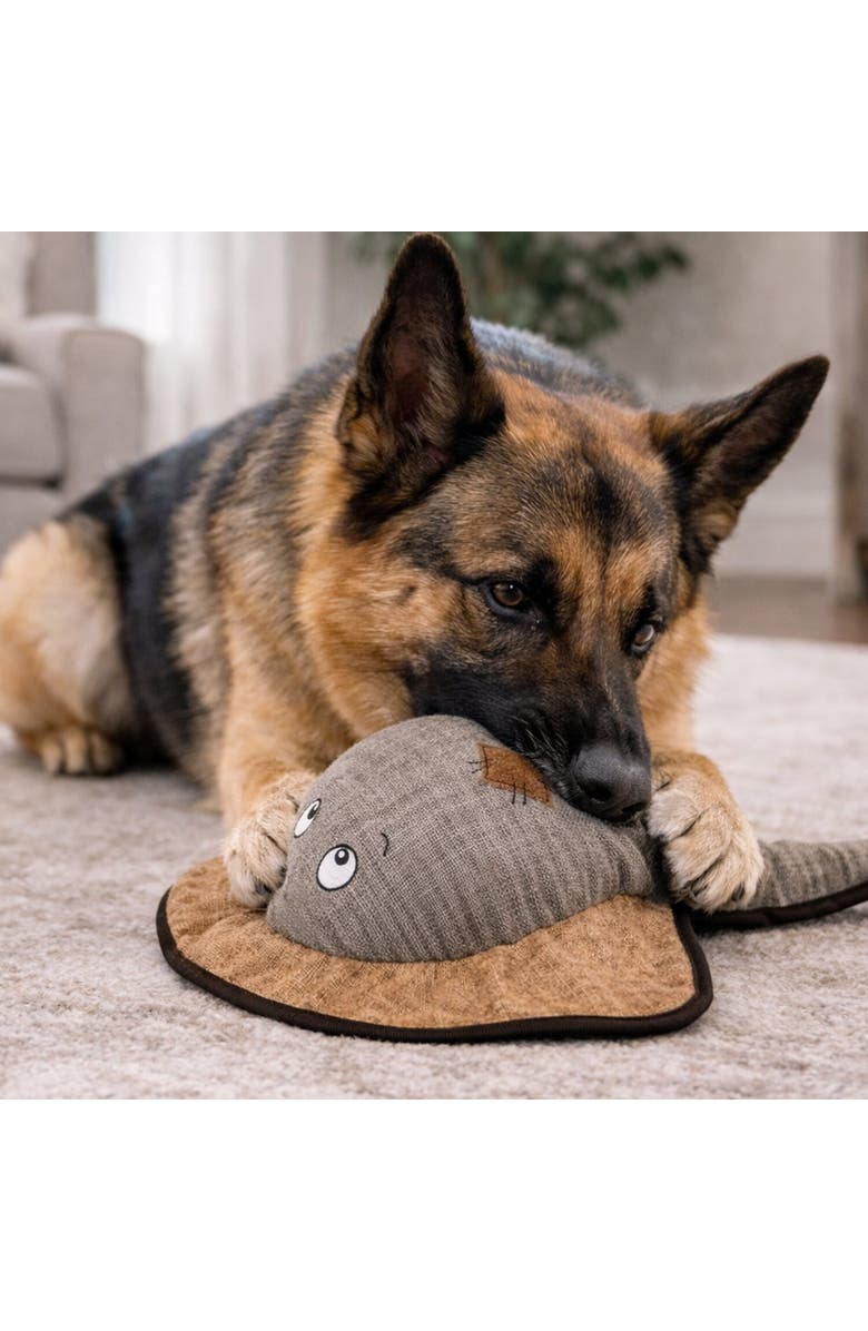 SnugArooz Plush Dog Toy, Alternate, color, Multicolored