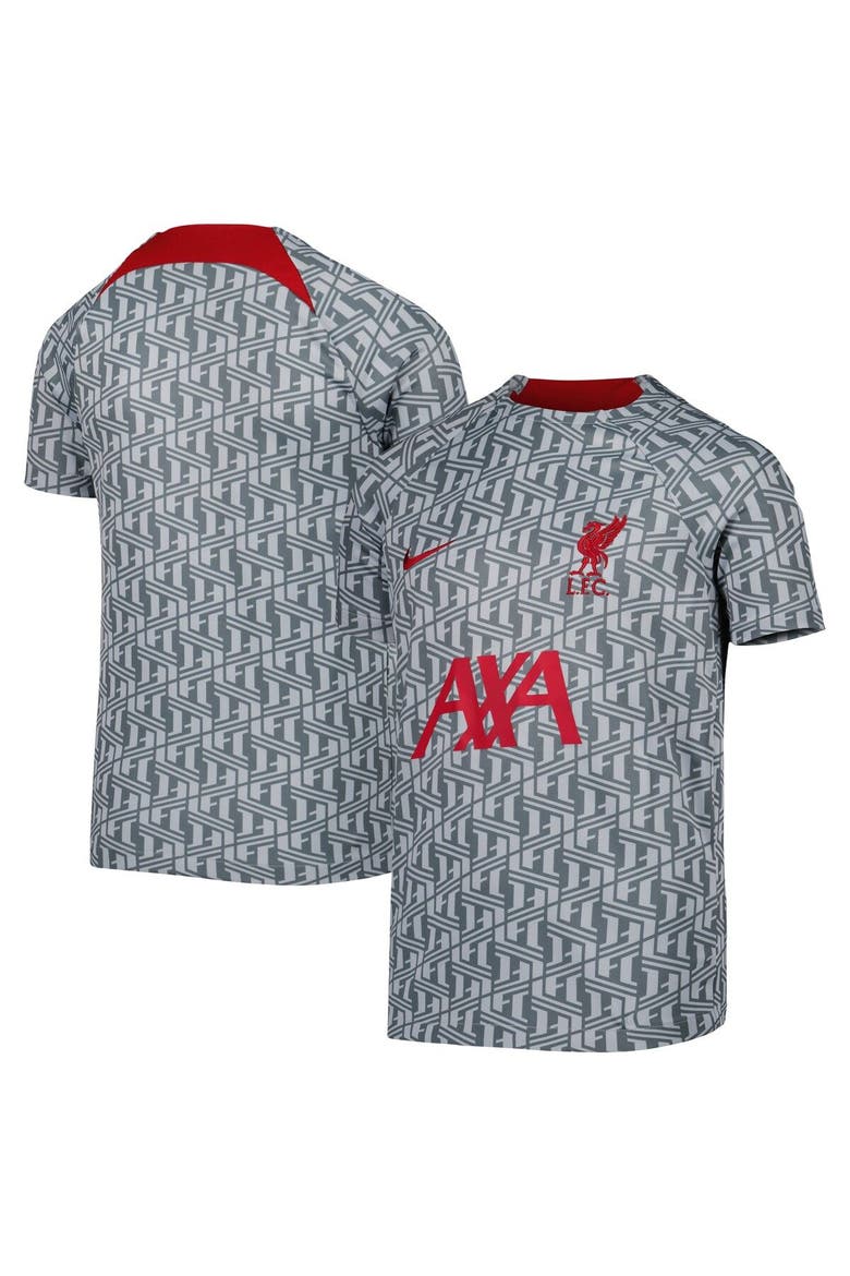 Youth Nike Gray Liverpool Pre-Match Top, Main, color, Gray