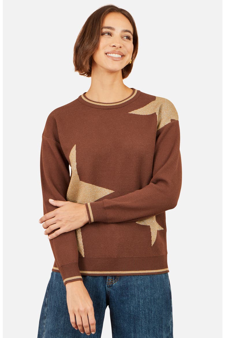 Star Relaxed Jumped With Sparkle, Main, color, Brown