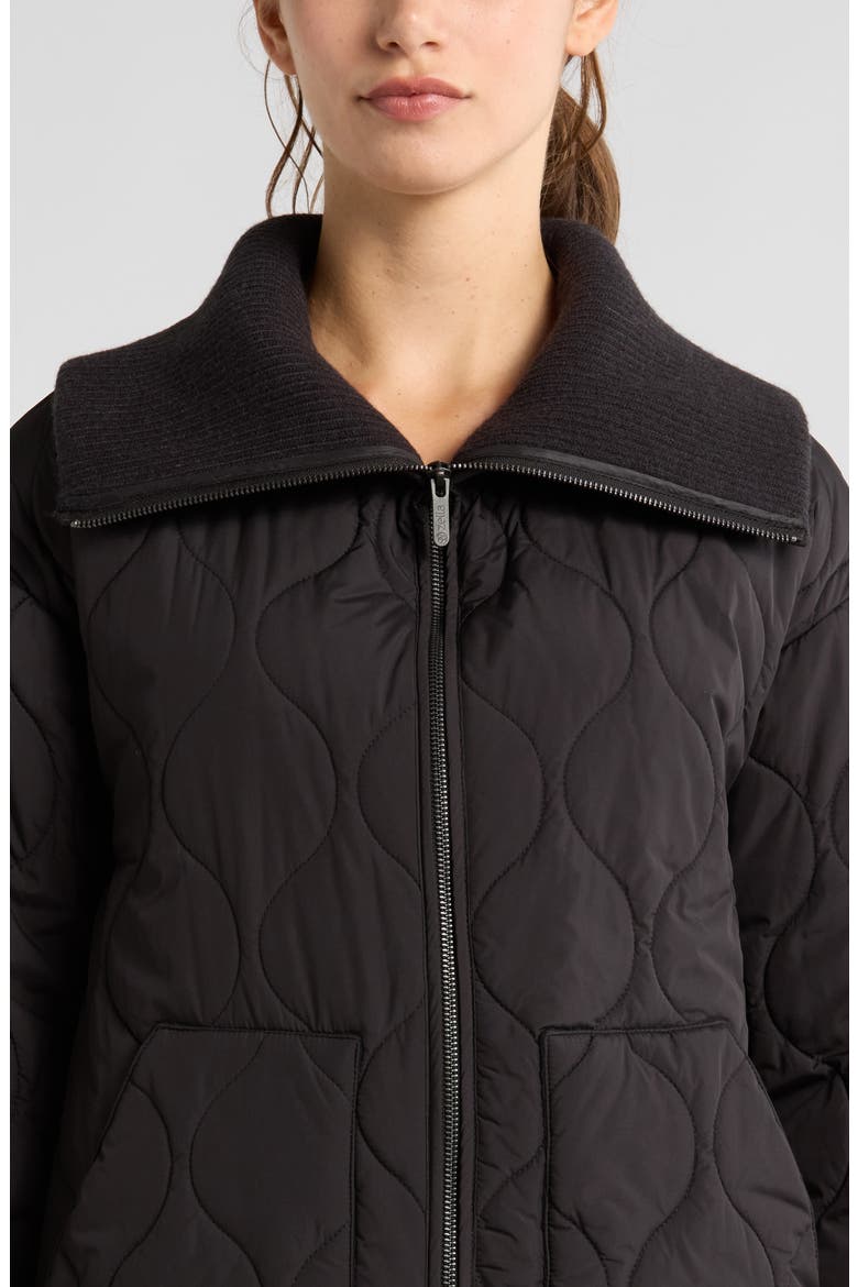 Onion Quilted Jacket, Alternate, color, BLACK