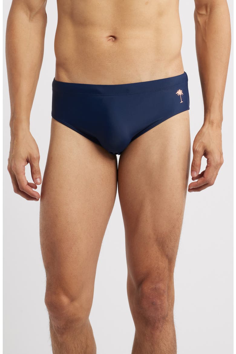 Solid Navy Swim Briefs, Main, color, NAVY