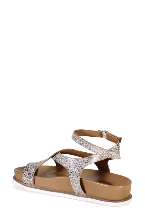 Diba True Carn Ival Ankle Strap Toe Loop Sandal In Gold