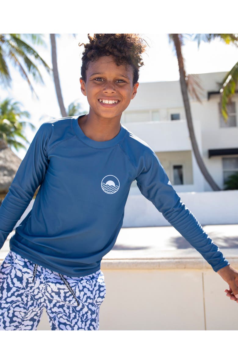 Feather 4 Arrow Icon Long Sleeve Rashguard, Alternate, color,