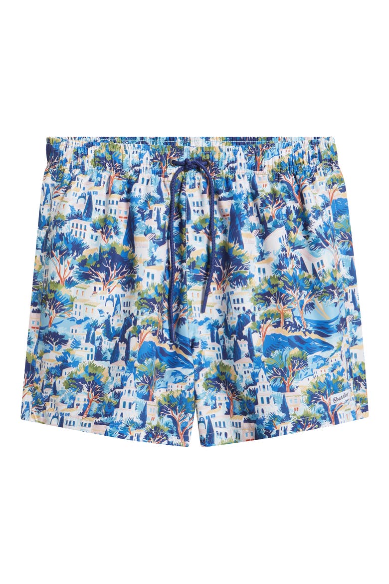 Printed Swim Trunks, Alternate, color, BLUE