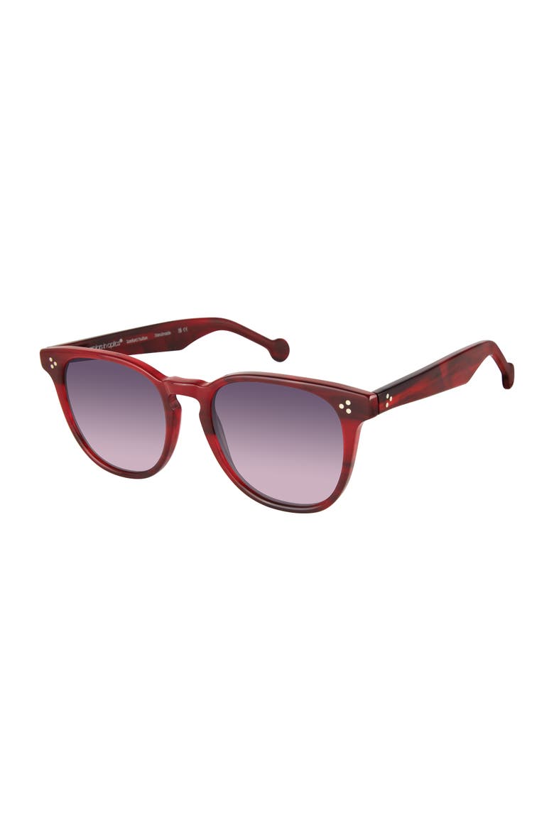 Wooster Sunglasses, Main, color, Wine Horn