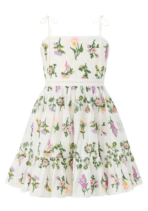 Emely Embroidered Mini Dress (Toddler, Little Kid & Big Kid)