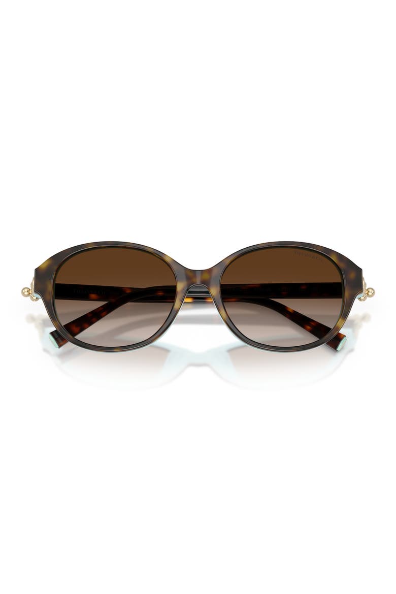 54mm Round Sunglasses, Alternate, color, HAVANA ON TIFFANY BLUE / BROWN