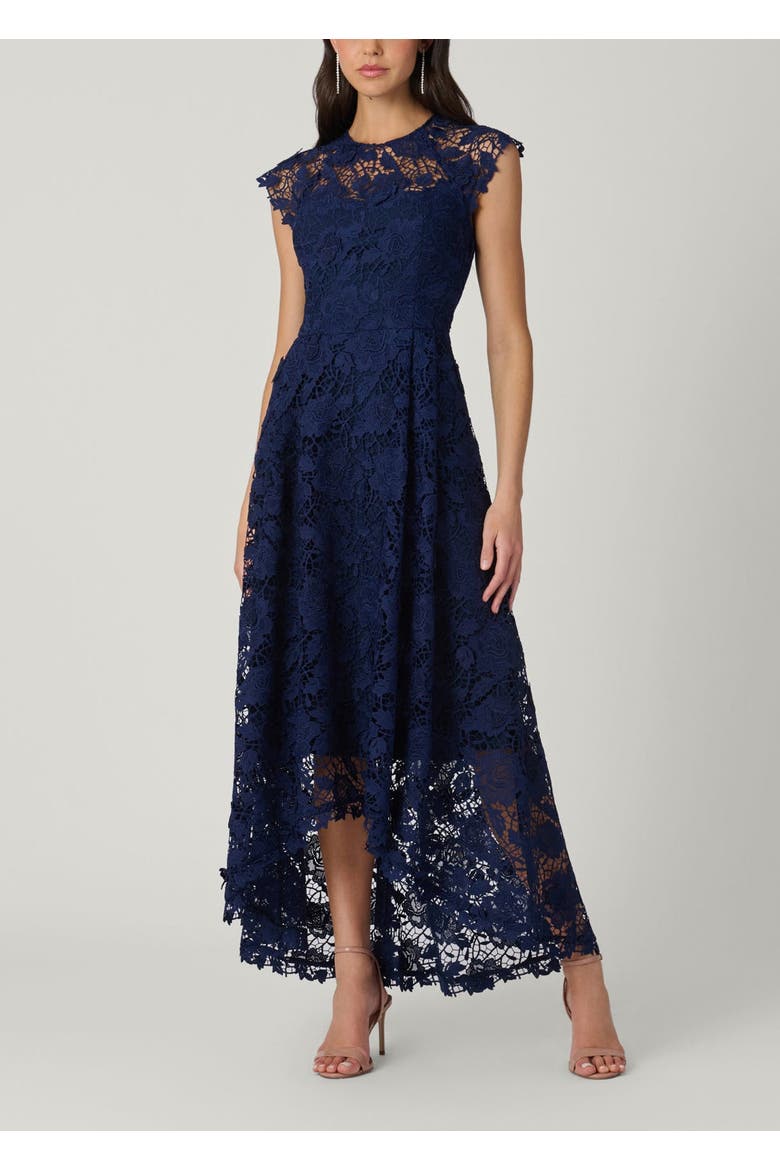 Midnight Brena Cheshire Floral Lace Dress, Main, color, Navy