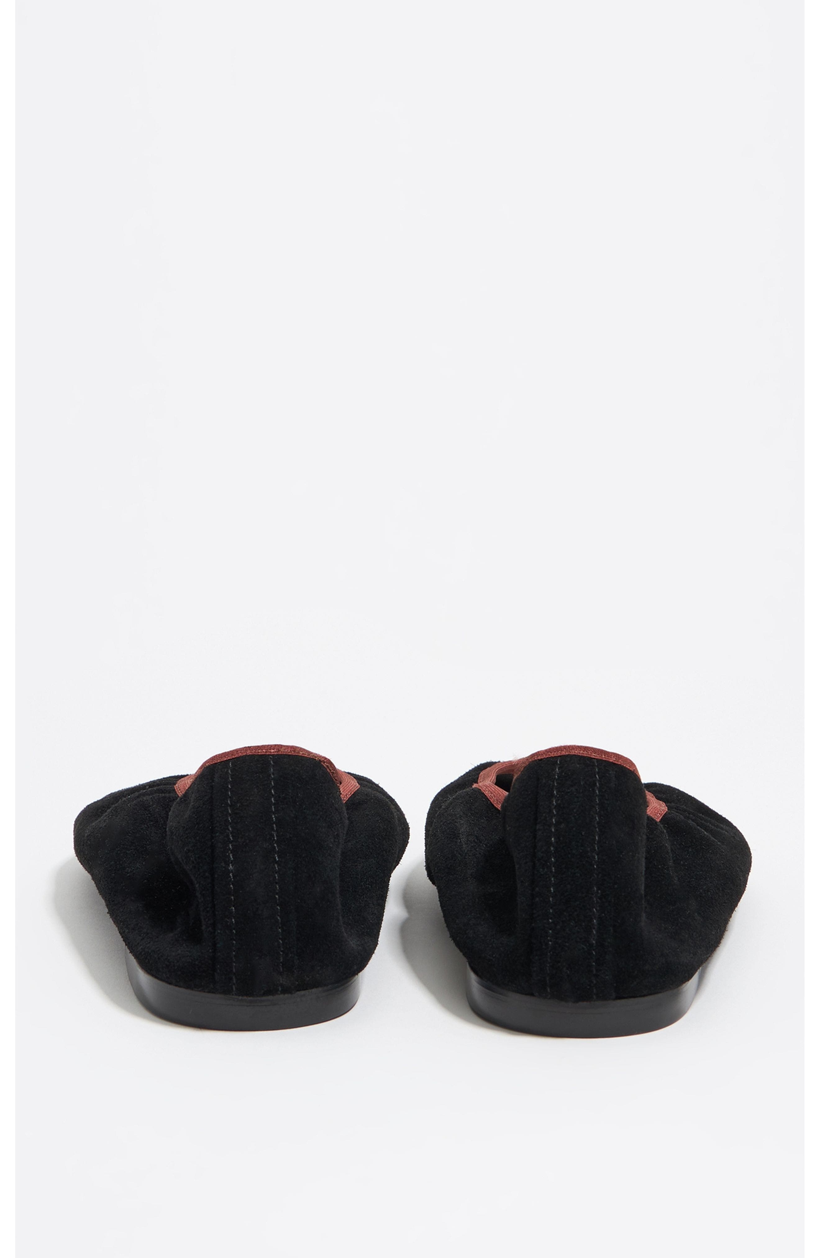 Pointed Toe Ballerina, Alternate, color, BLACK
